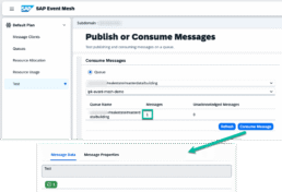 Consume message
